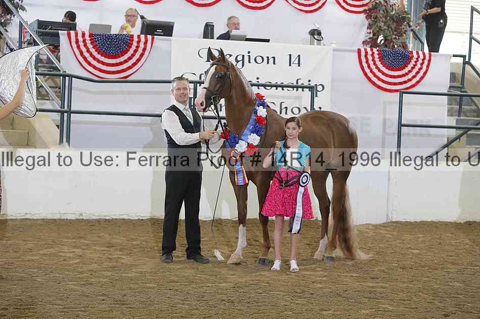 Proof 14r14_1996