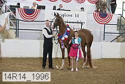 14r14_1996 proof