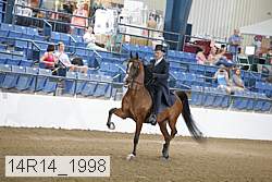 14r14_1998 proof
