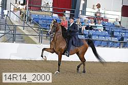14r14_2000 proof