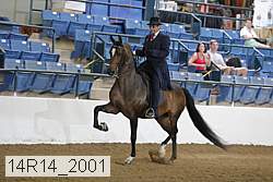 14r14_2001 proof
