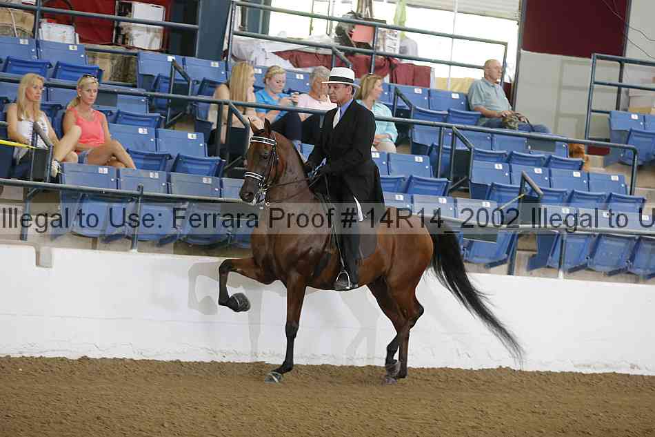Proof 14r14_2002