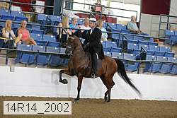 14r14_2002 proof