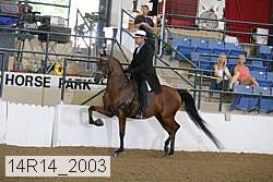 14r14_2003 proof