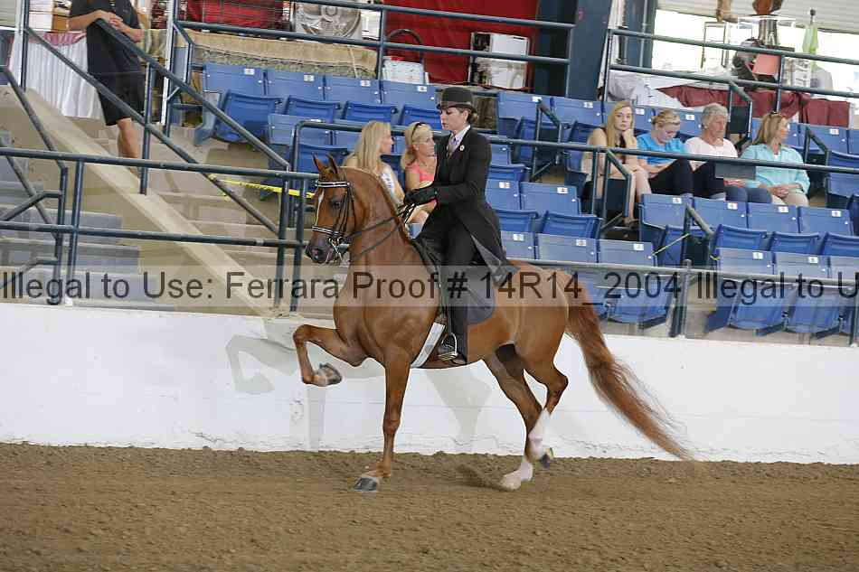 Proof 14r14_2004