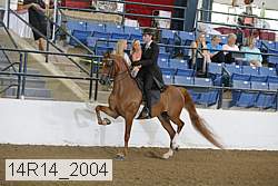 14r14_2004 proof