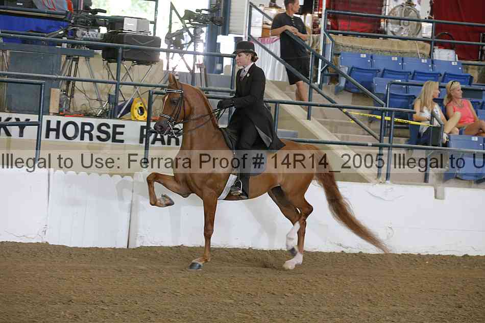 Proof 14r14_2005