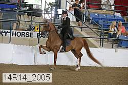 14r14_2005 proof
