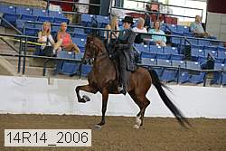 14r14_2006 proof