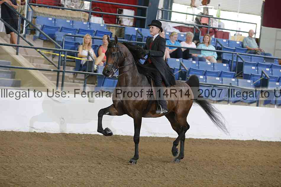Proof 14r14_2007