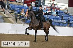 14r14_2007 proof