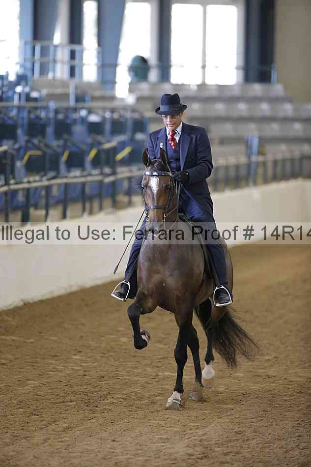 Proof 14r14_2008