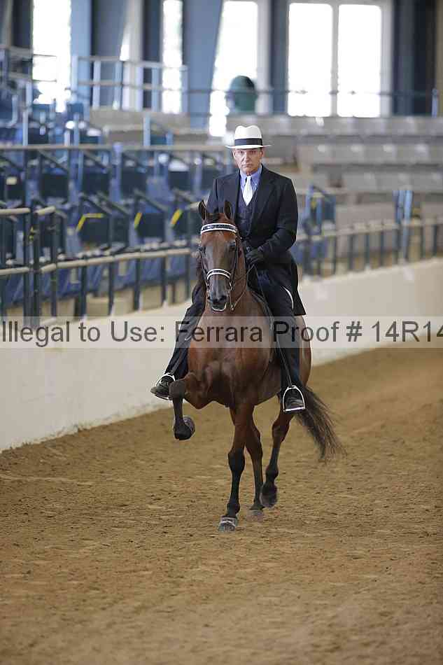 Proof 14r14_2010