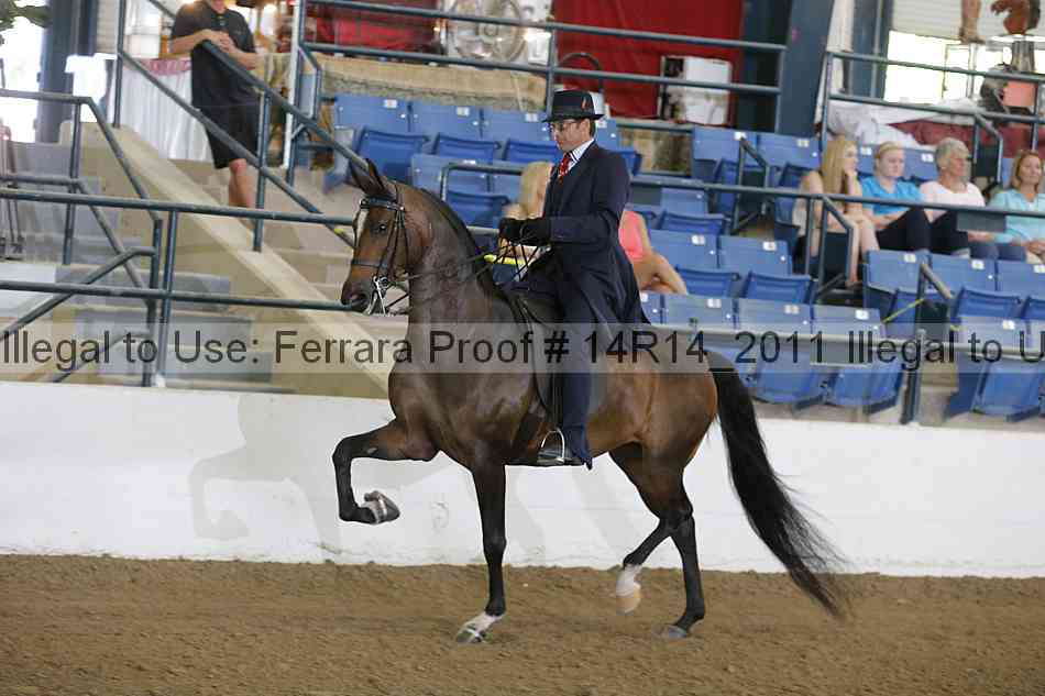 Proof 14r14_2011