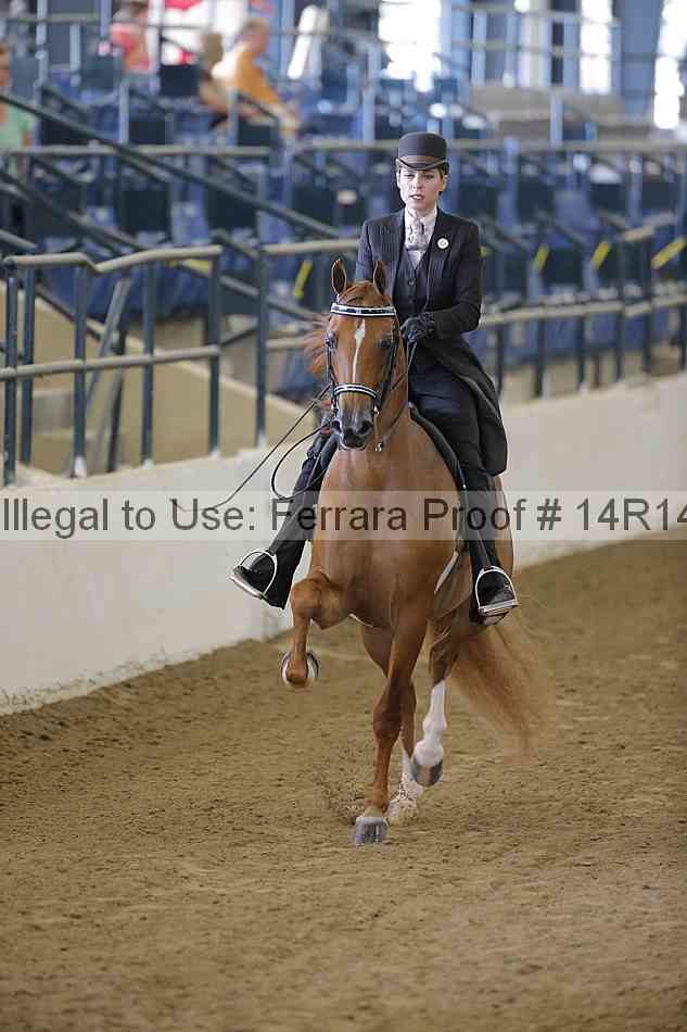 Proof 14r14_2012