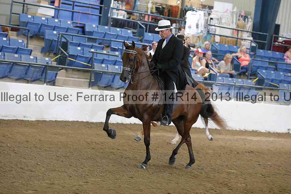 Proof 14r14_2013