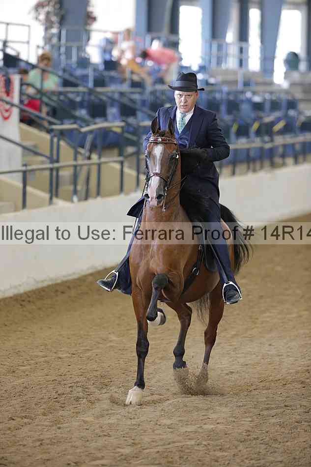 Proof 14r14_2014