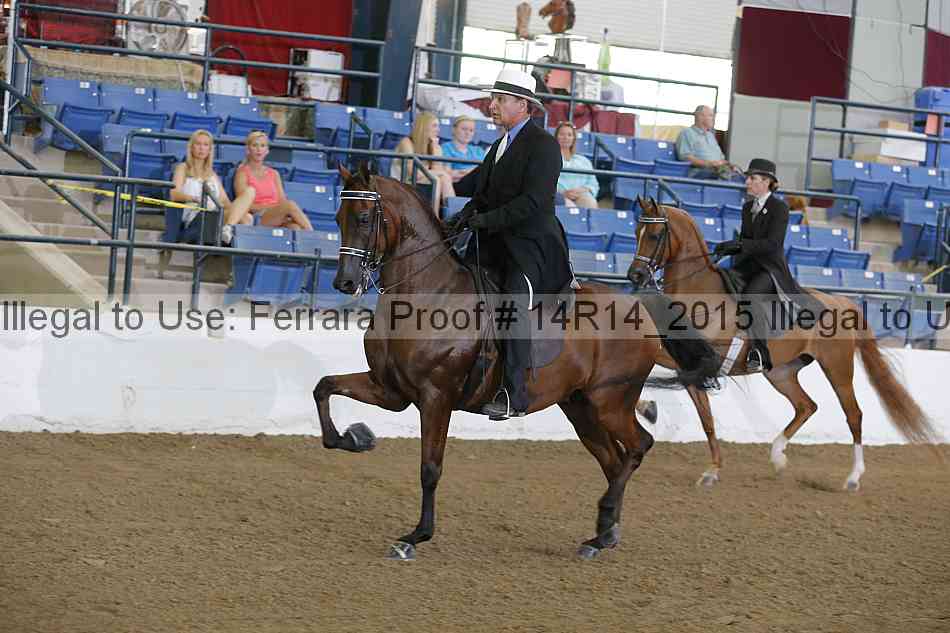 Proof 14r14_2015
