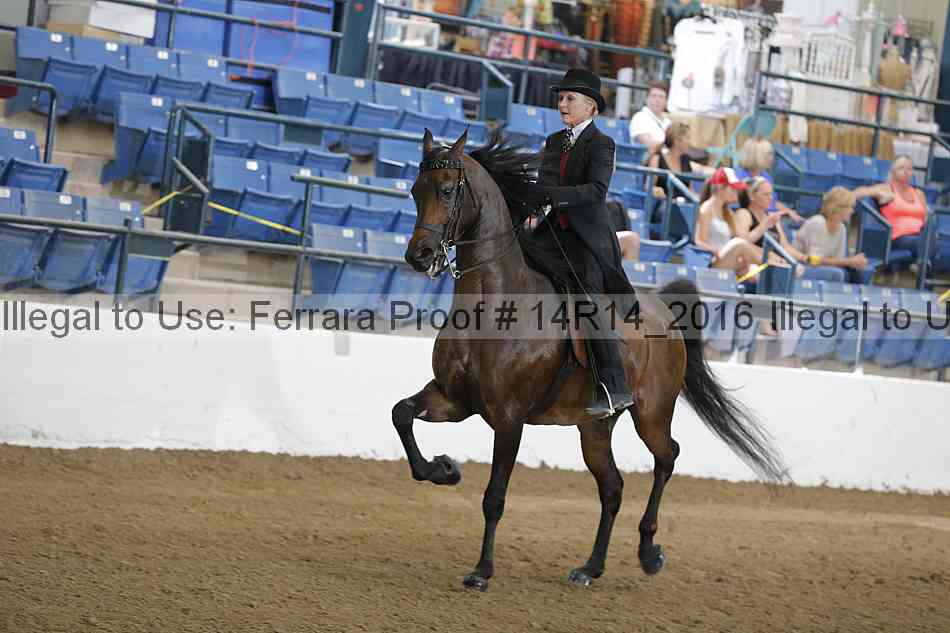 Proof 14r14_2016