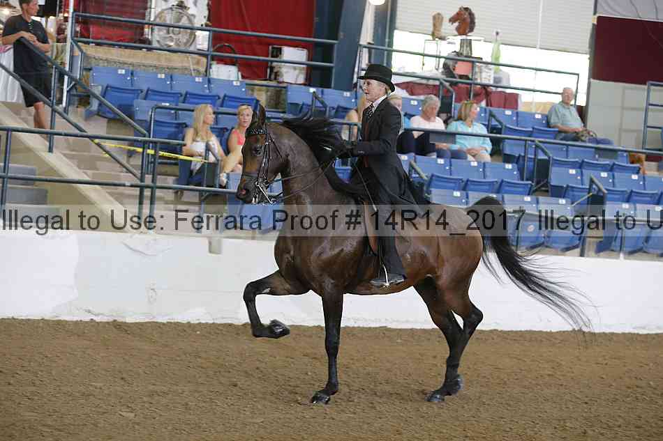 Proof 14r14_2017