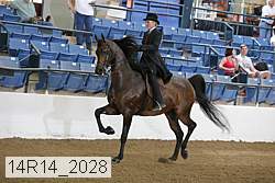 14r14_2028 proof
