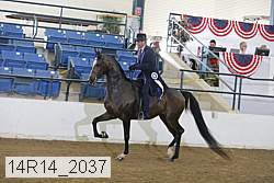 14r14_2037 proof