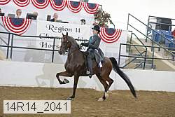 14r14_2041 proof