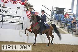 14r14_2047 proof
