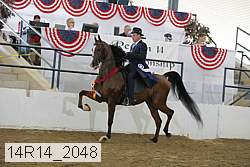 14r14_2048 proof