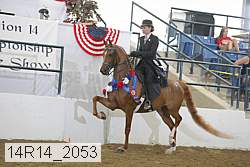 14r14_2053 proof