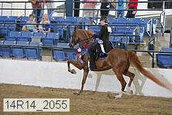 14r14_2055 proof