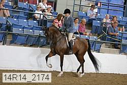 14r14_2174 proof