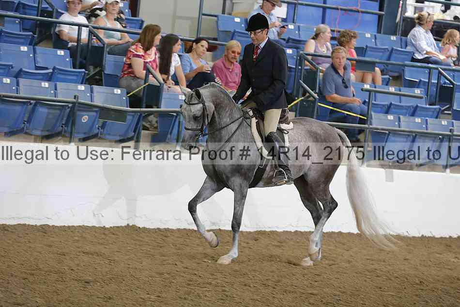 Proof 14r14_2175