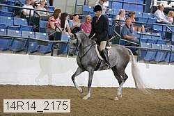 14r14_2175 proof