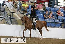 14r14_2176 proof