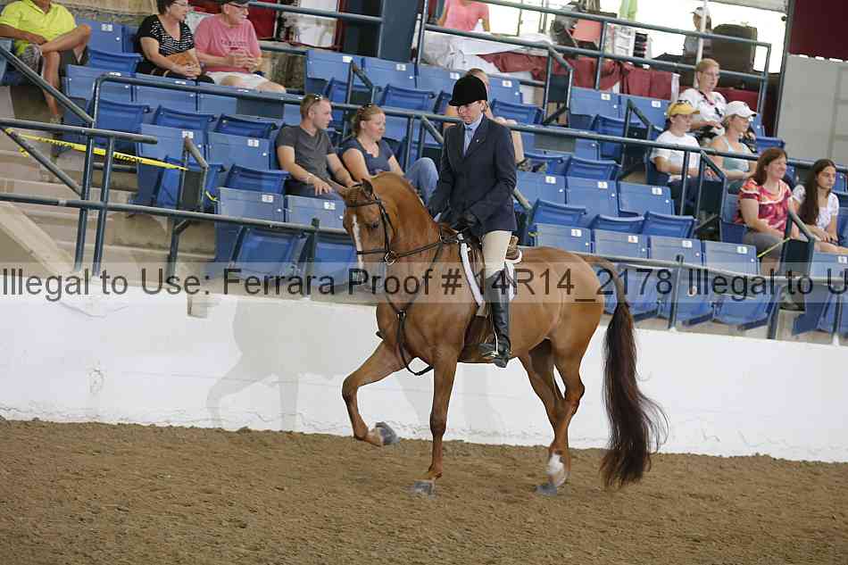 Proof 14r14_2178