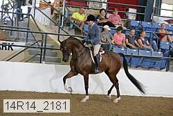 14r14_2181 proof