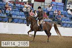 14r14_2185 proof