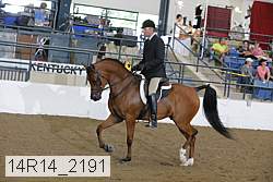 14r14_2191 proof