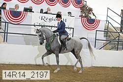 14r14_2197 proof