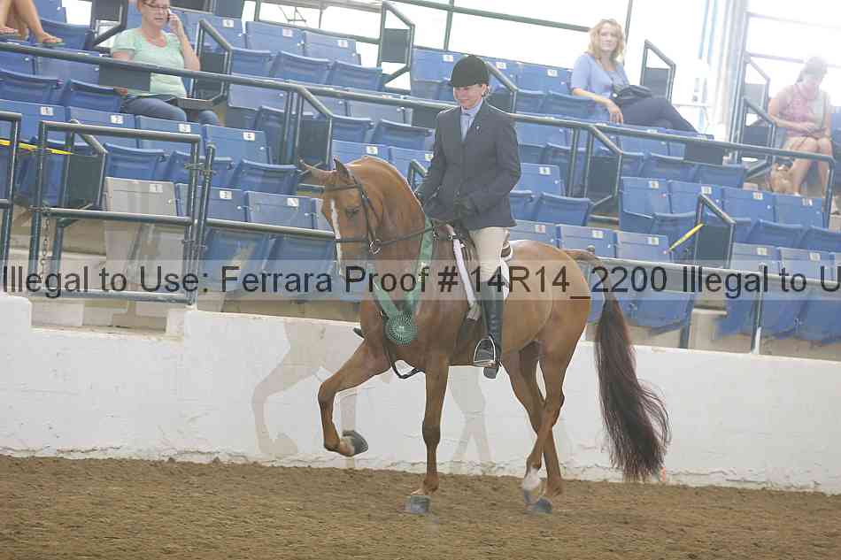 Proof 14r14_2200