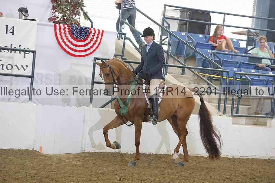 Proof 14r14_2201