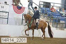 14r14_2201 proof