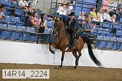 14r14_2224 proof