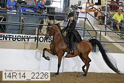 14r14_2226 proof