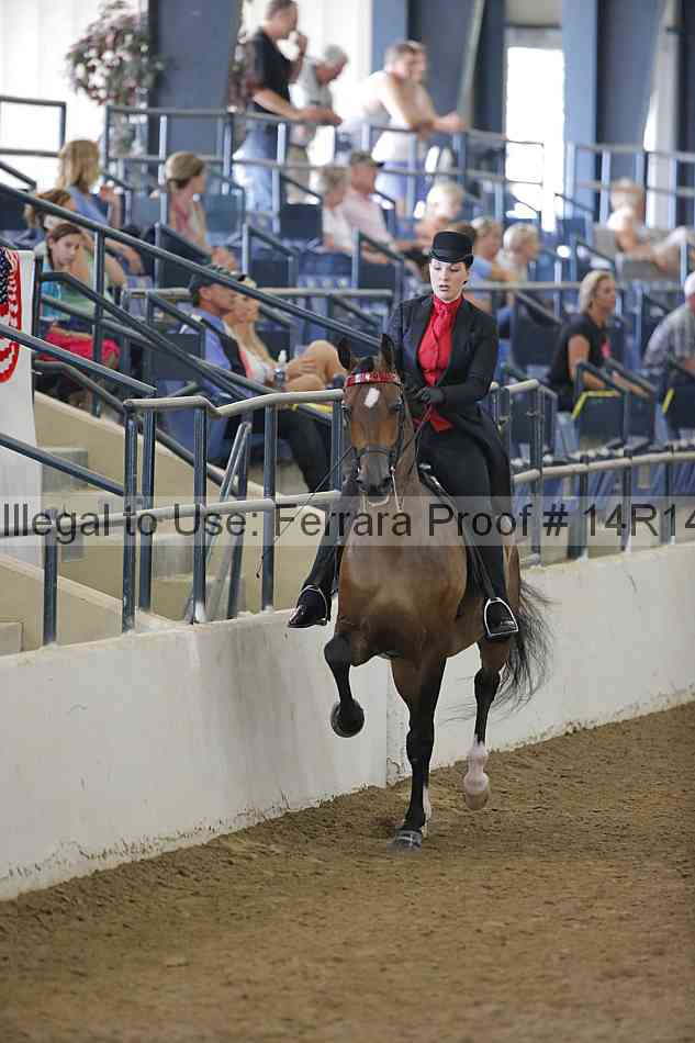 Proof 14r14_2229