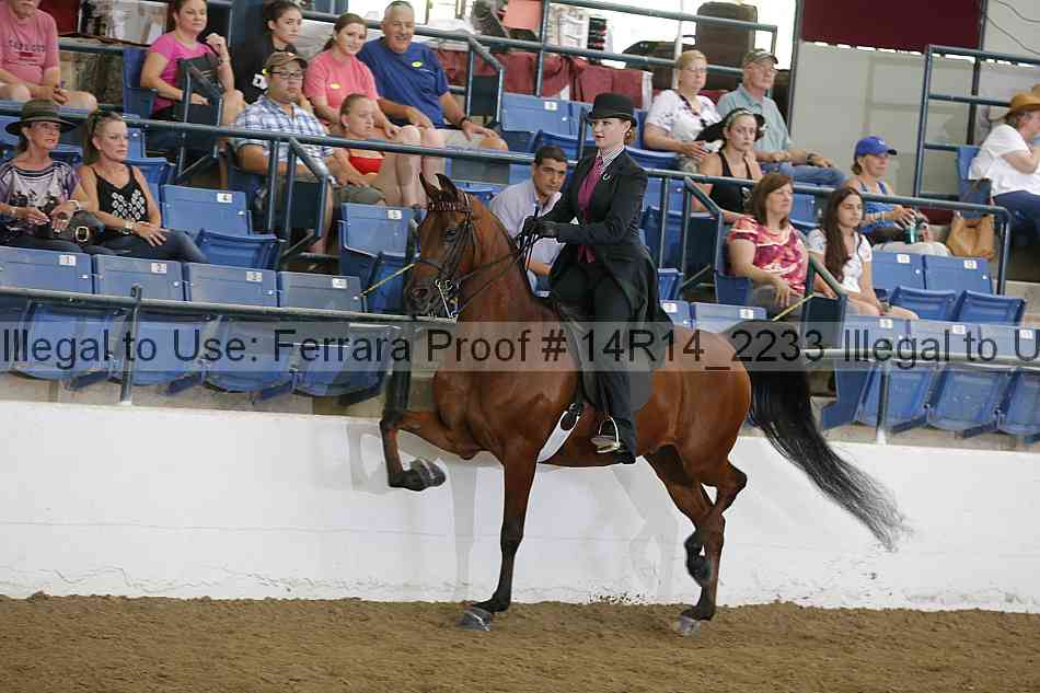 Proof 14r14_2233