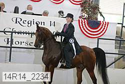 14r14_2234 proof