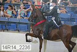 14r14_2236 proof
