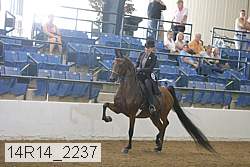 14r14_2237 proof